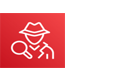 AWS Detective